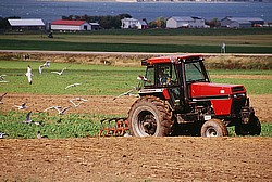 Preschool and kindergarten songs about farm animals